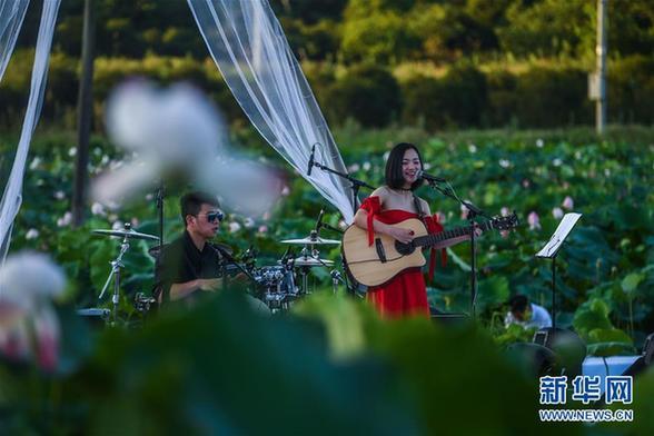 （文化）（1）美丽山村举办夏季“荷塘月色”音乐会