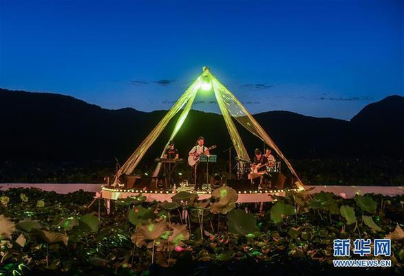 （文化）（4）美丽山村举办夏季“荷塘月色”音乐会